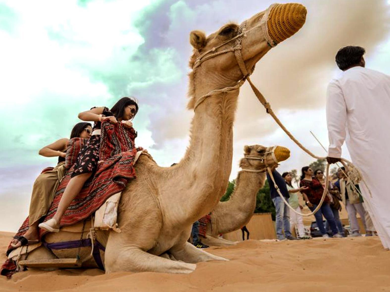Bedouin Oasis Desert Camp- Ras Al Khaimah Eksteriør billede